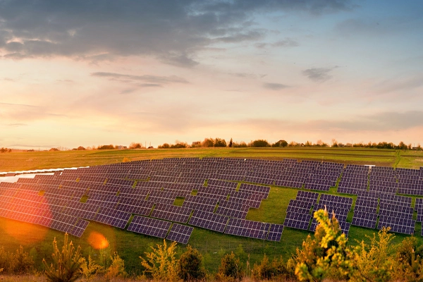 PV Farm 200 MW